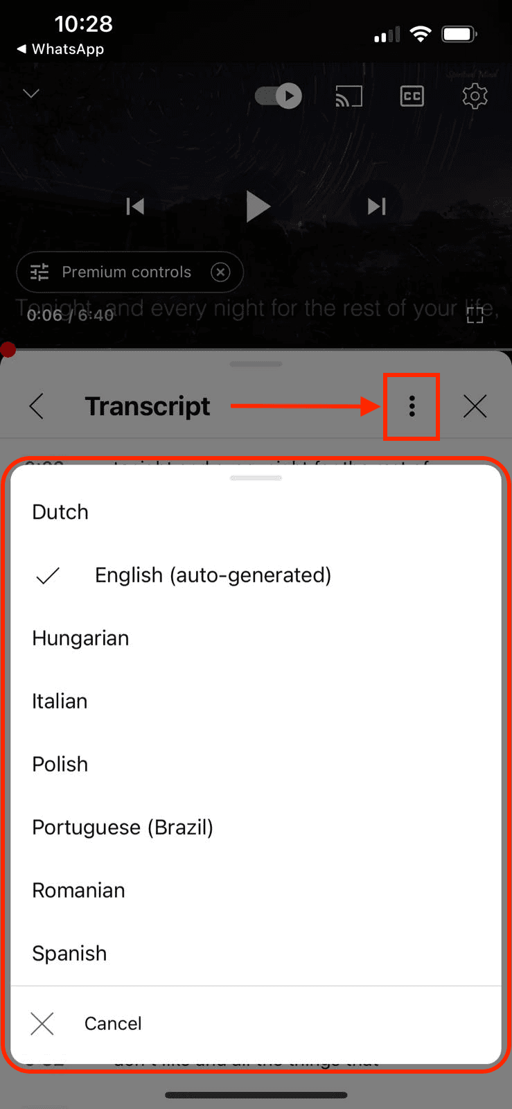 youtube video transcript on Mobile - step 3: Change Language