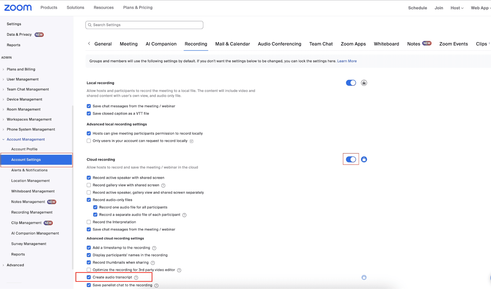 how to enable zoom's transcription