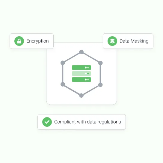 A server behind a hexagonal perimeter, tagged encryption and data masking and marked compliant with data regulations